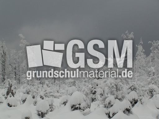 Winterlandschaft 2.jpg